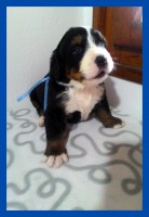 /album/a3-tyzden-3rd-week/kolaz-iii-1-jpg/